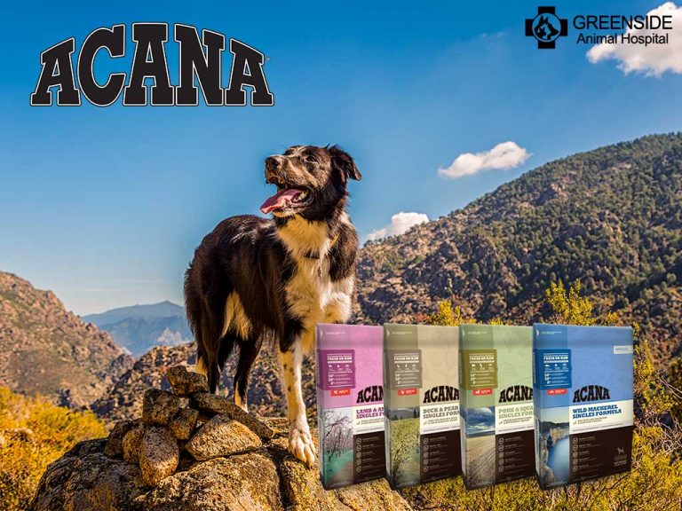 Pet shop Greenside Animal Hospital