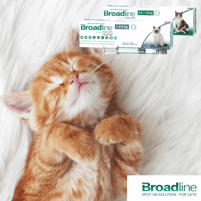 Pet shop Greenside Animal Hospital