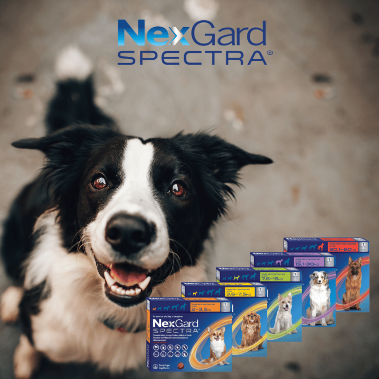 Pet shop Greenside Animal Hospital