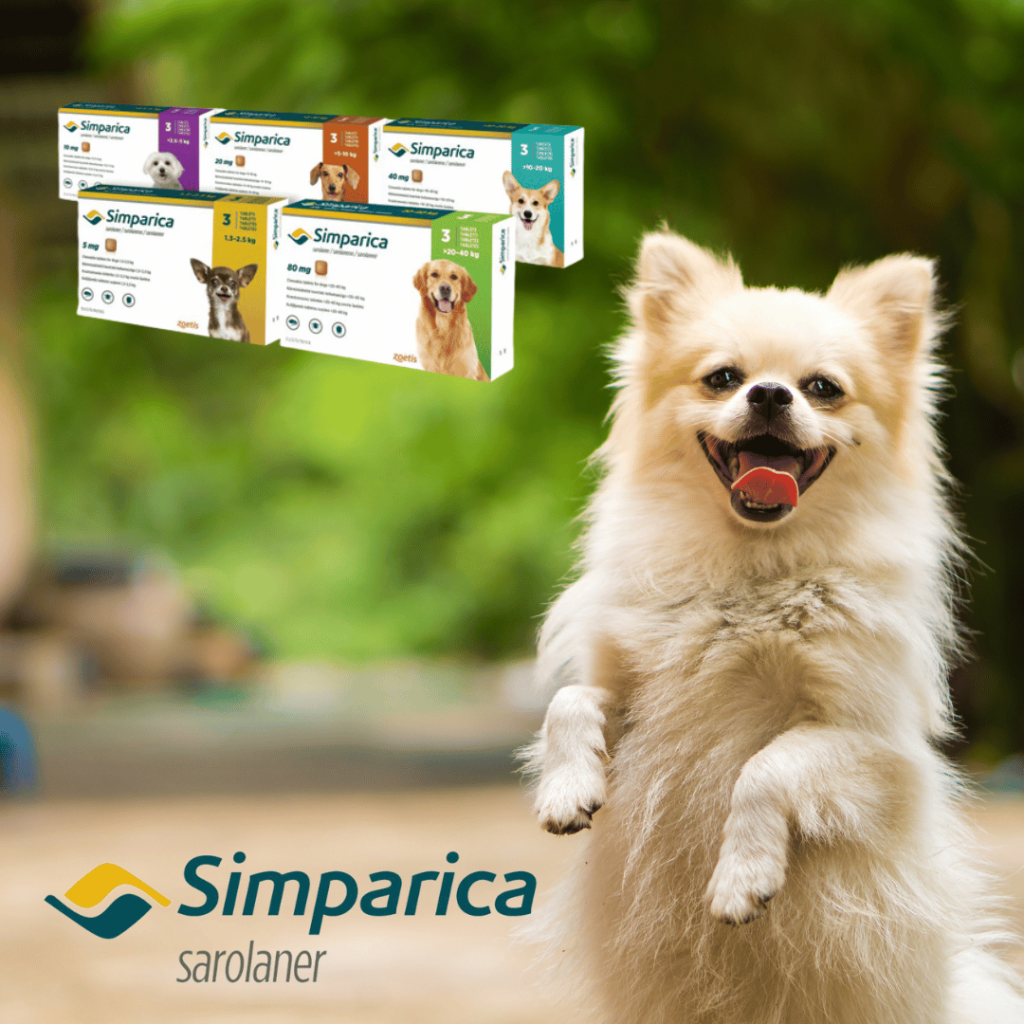 Pet shop Greenside Animal Hospital