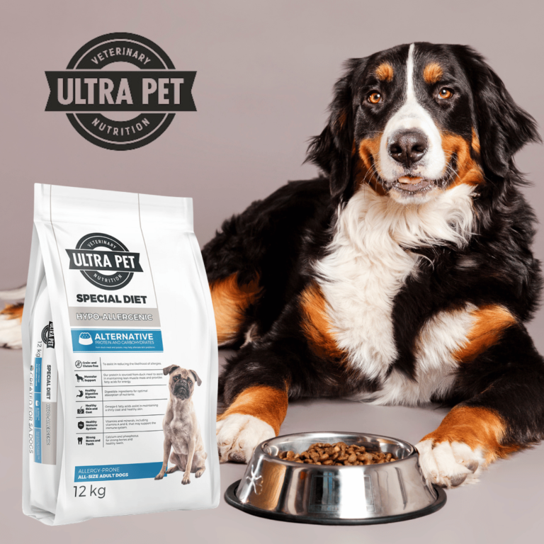 Pet shop Greenside Animal Hospital